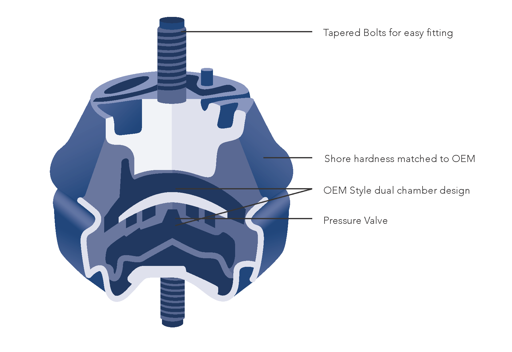 Cross Section